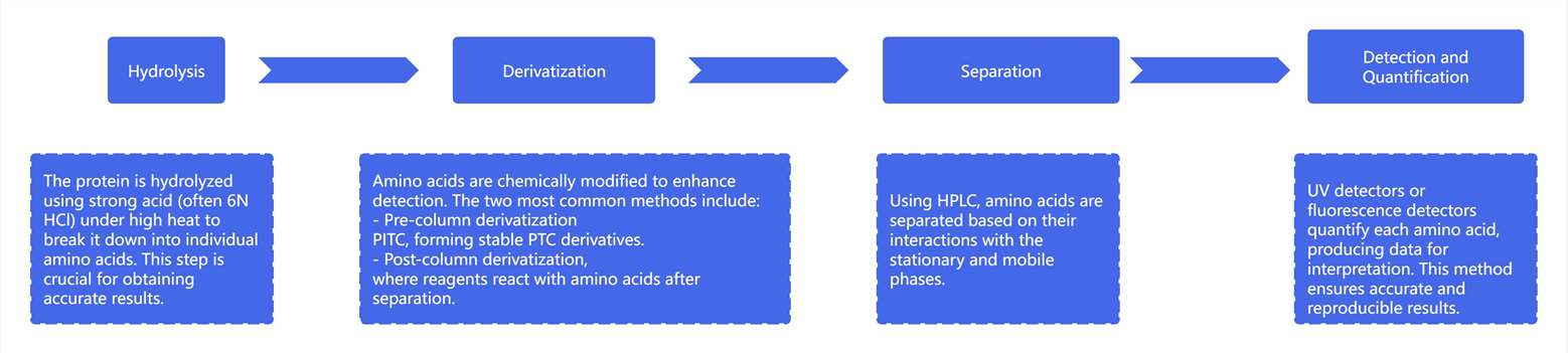 Amino Acid Analysis workflow