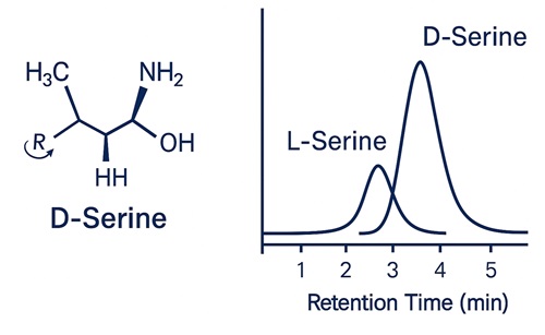 D-/L-serine structures and resolved LC peaks.