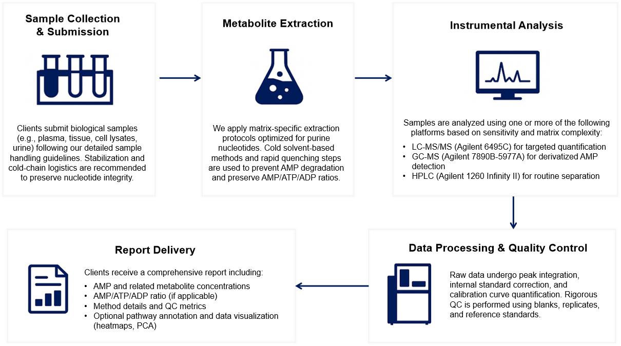 AMP Analysis Workflow