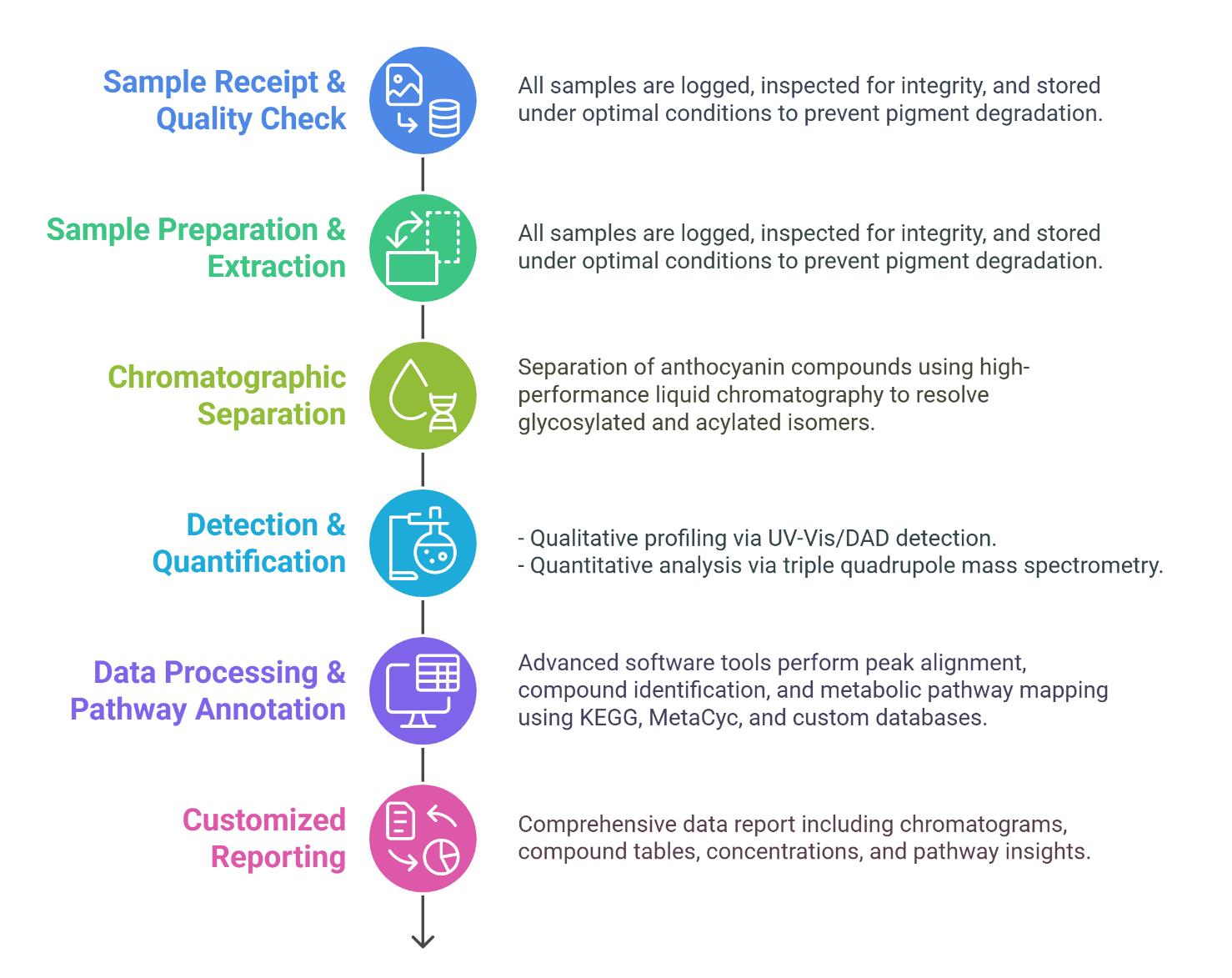 Anthocyanins Analysis Workflow