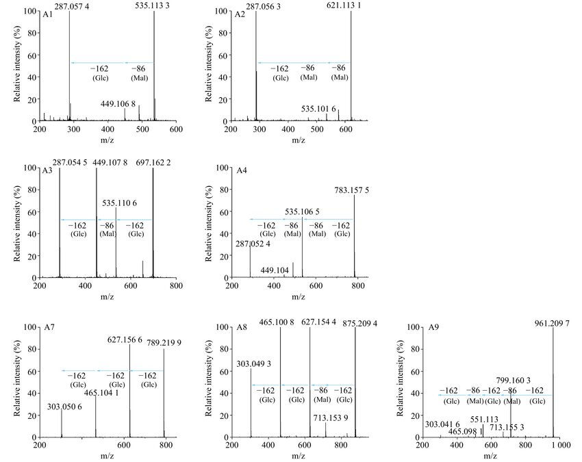 MS/MS analysis of anthocyanins in transgenic and wild-type chrysanthemums