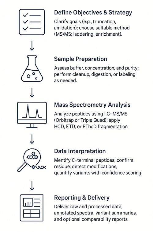 C-Terminal Sequencing Analysis Workflow