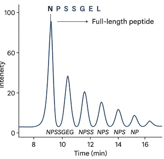 Mass spectrometry laddering of peptide C-terminus via enzymatic trimming.