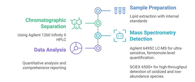 Cardiolipin Analysis Process