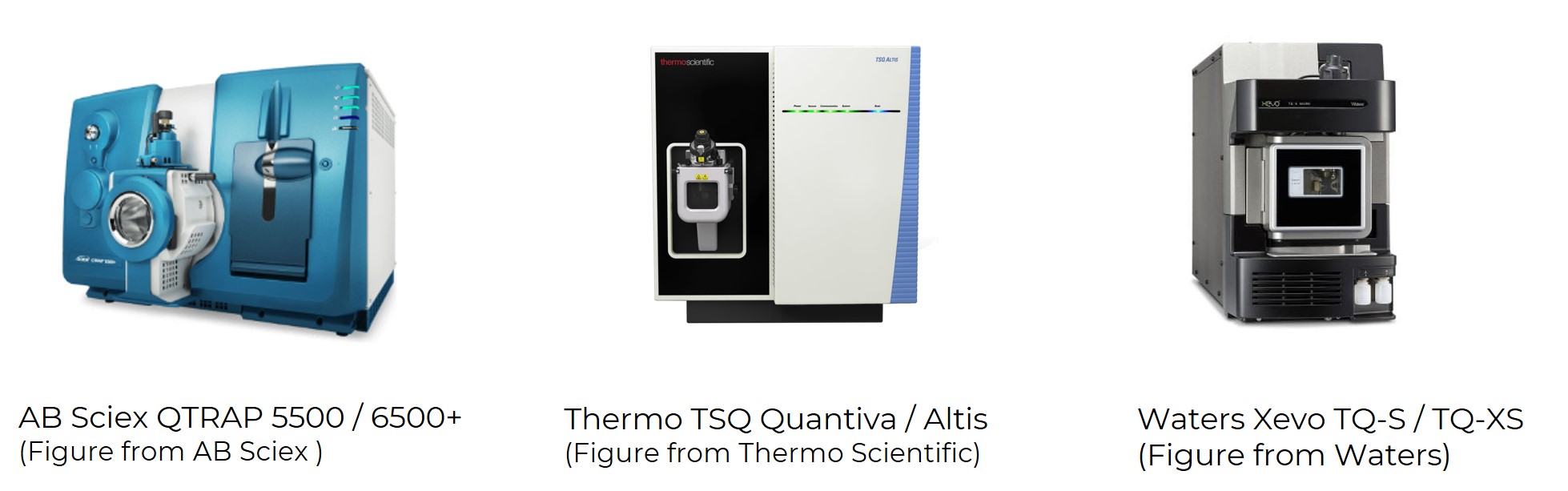 Mass spectrometry for central carbon metabolism service