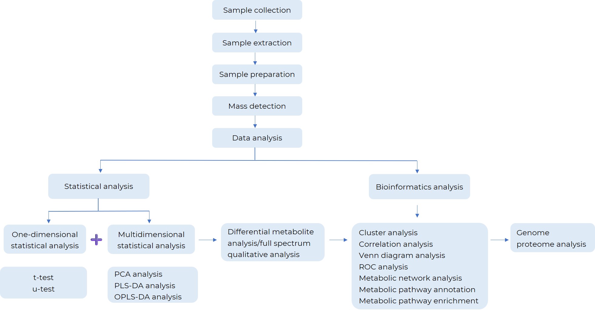 Central carbon metabolism analysis workflow