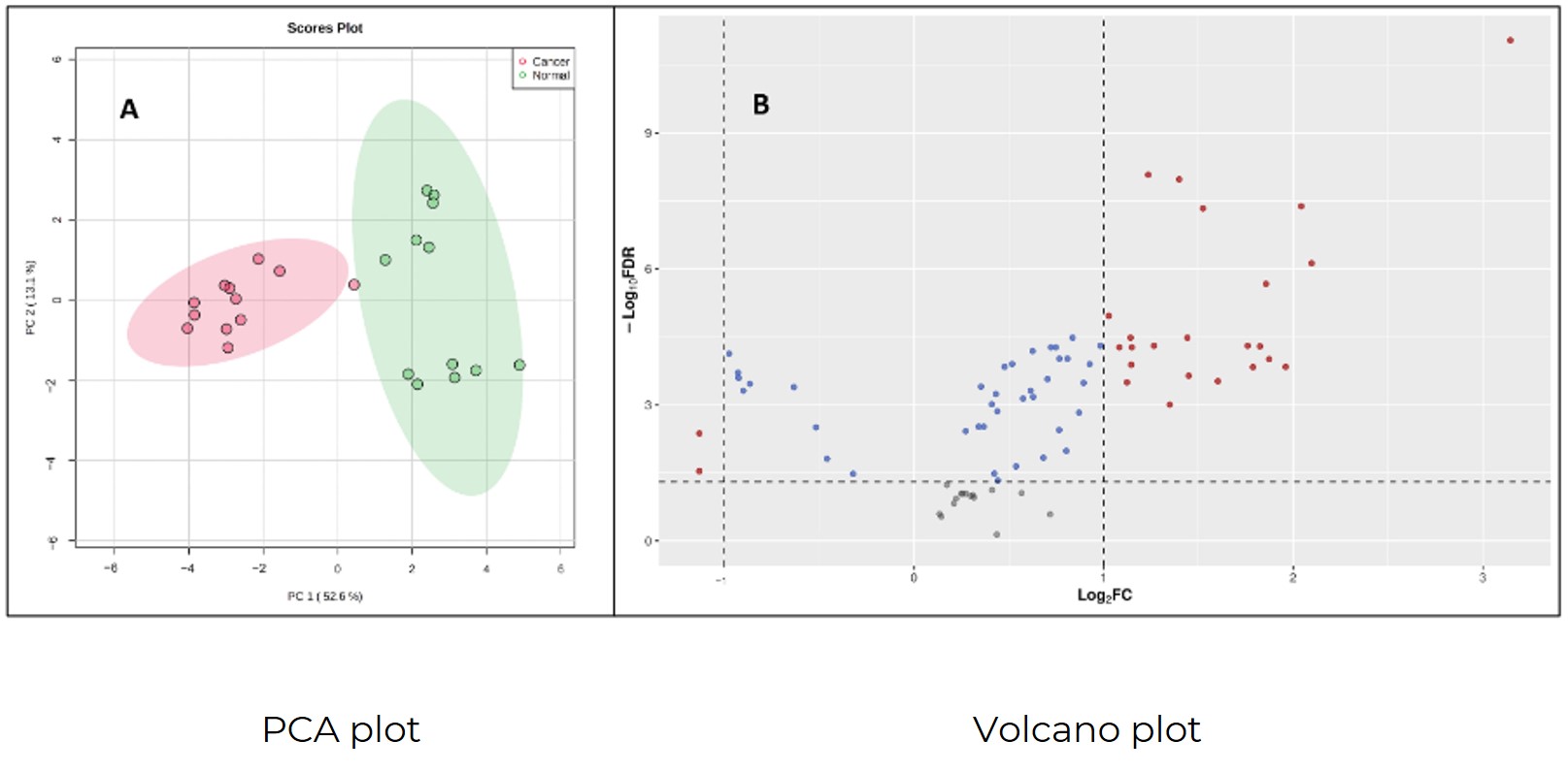 PCA and Volcano plot of central carbon metabolism analysis service