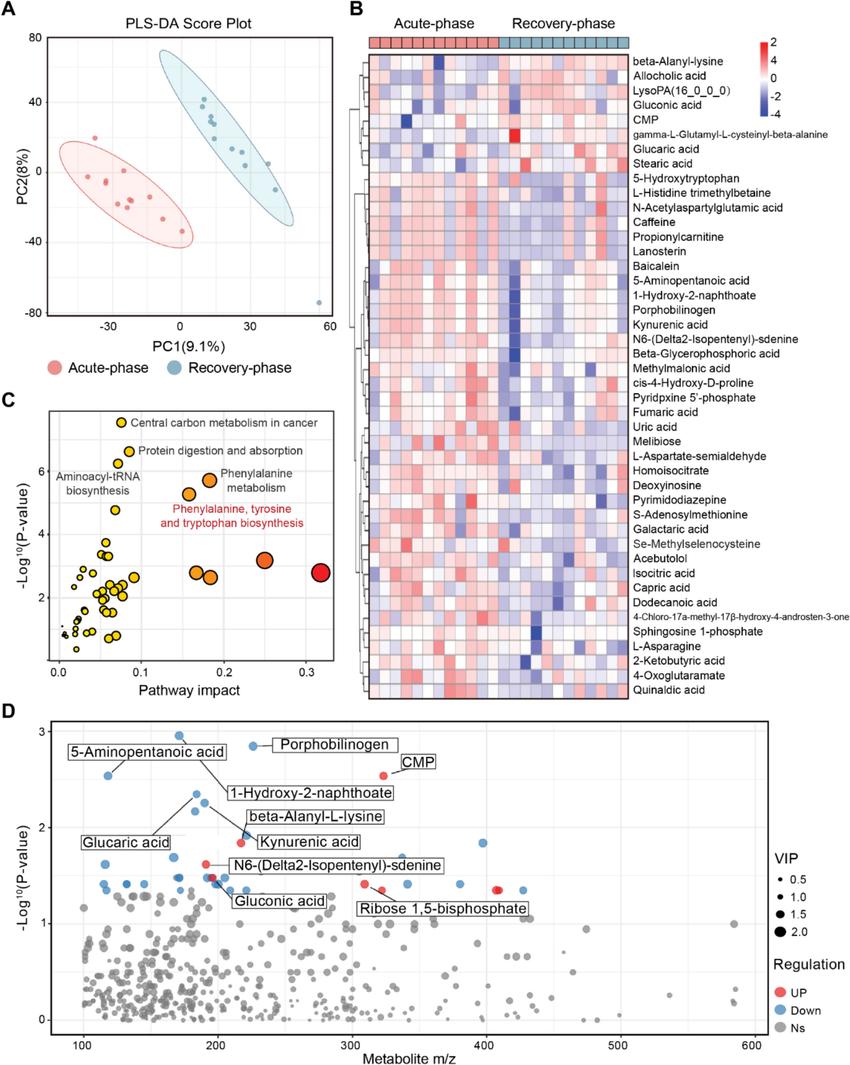 Untargeted metabolomics reveals differences in metabolomic profiles of CSF in the acute-phase and recovery-phase of ICH