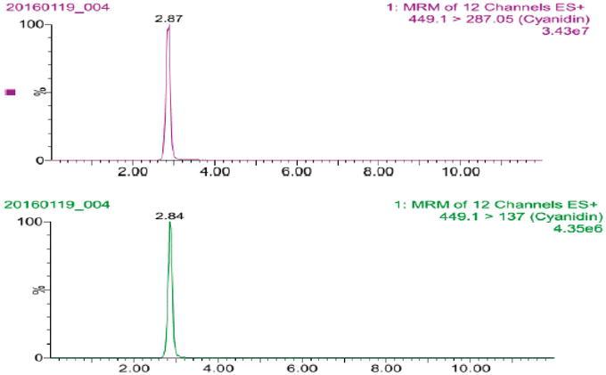 Chromatogram of cyanidin 3-O-glucoside