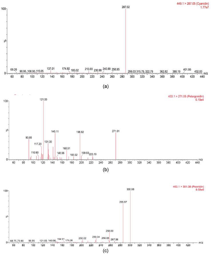 (a) MS/MS spectrum of cyanidin 3-O-glucoside. (b) MS/MS spectrum of pelargonidin-3-O-glucoside. (c) MS/MS spectrum of peonidin 3-O-glucoside [13].