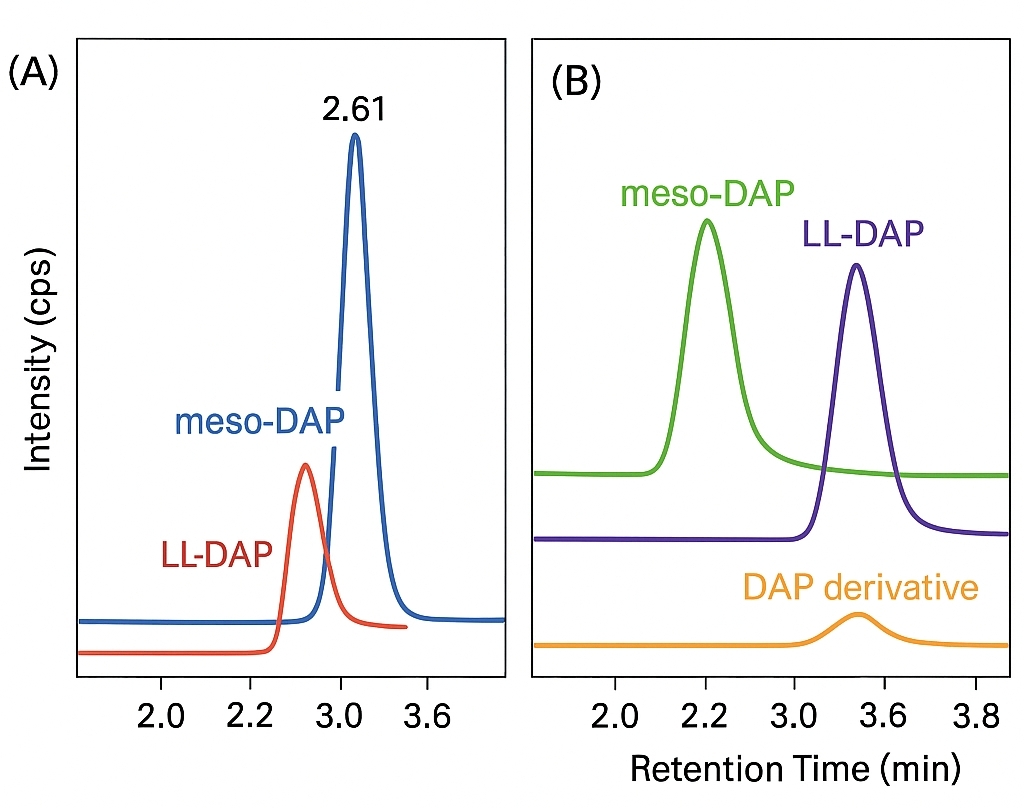 LC-MS/MS chromatograms with separated peaks for meso-DAP and LL-DAP, plus an overlay of three compounds showing different retention times.