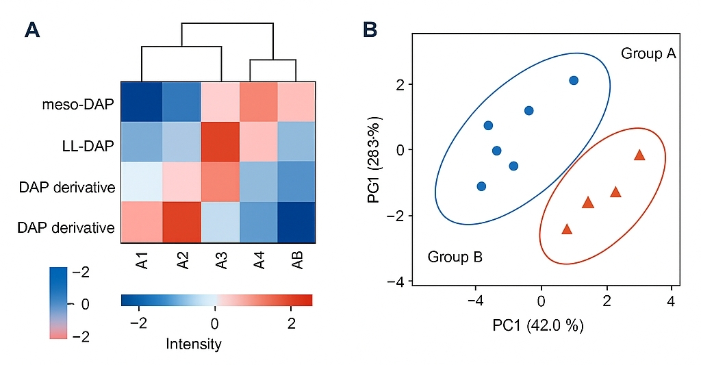 Heatmap showing color-coded intensities of DAP metabolites across samples, and PCA plot with distinct clusters for two groups.