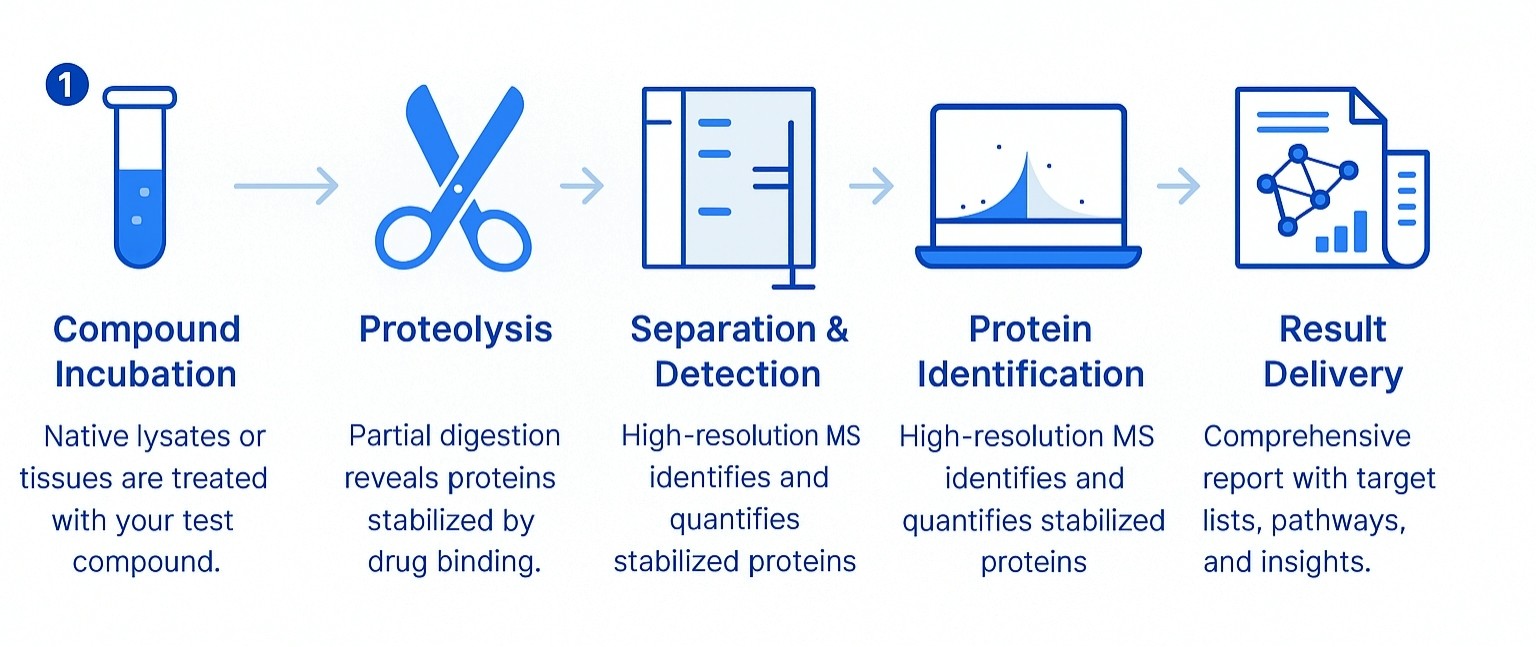 DARTS Assay Workflow