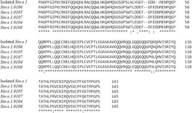 The full-length amino acid sequence of Sin a 1 protein