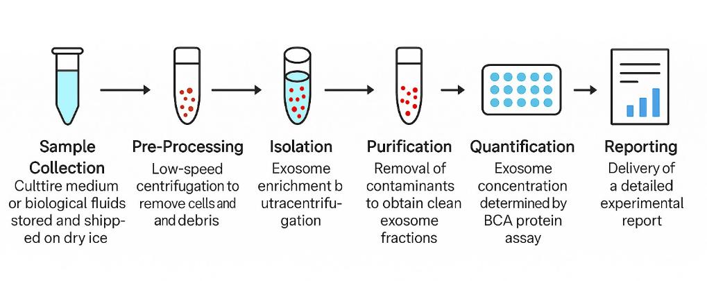 Exosome Isolation Service process