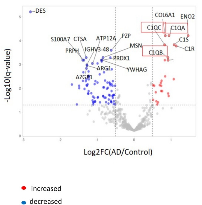 Volcano plot showing AD versus non-demented controls comparison in Cohort 1.