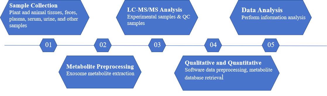 The workflow of exosome untargeted metabolomics.
