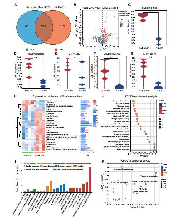 Exosomes metabolomic profiling of Suc-EXO versus N-EXO.