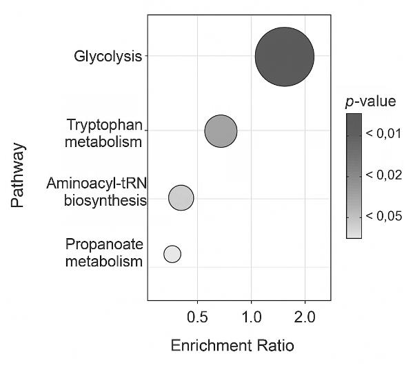 Enrichment bubble chart displaying pathways by ratio and p-value, with bubble size and color indicating significance. 