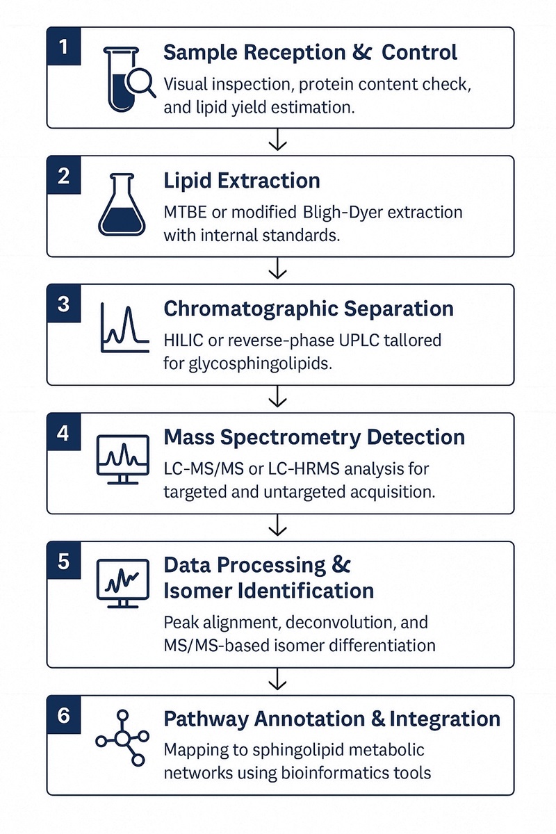 Glucosylceramide Analysis Workflow