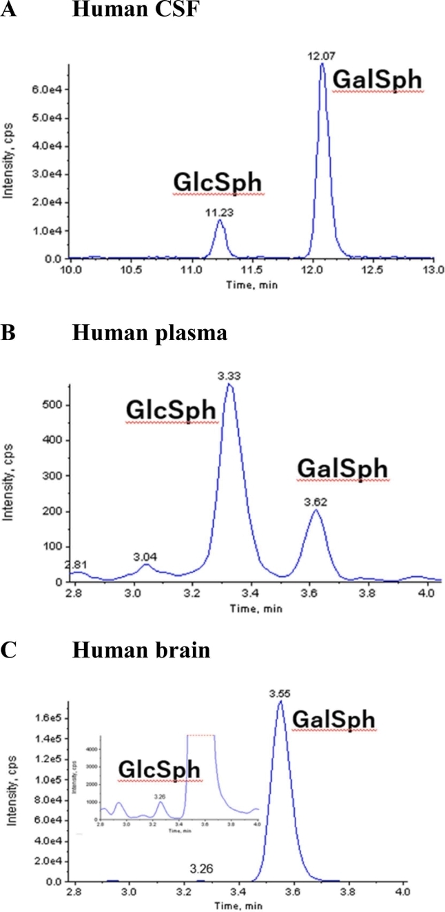 Chromatograms of GlcSph and GalSph in human (A) CSF, (B) plasma, and (C) brain