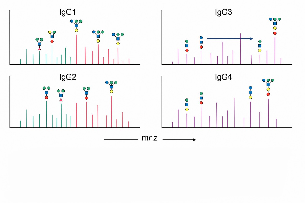 LC-MS/MS chromatogram showing distinct peaks for C0, C2, and C16 acylcarnitines with retention times labeled.