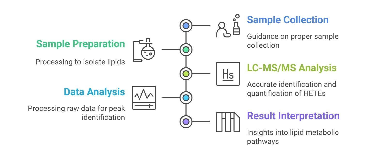 Hydroxy-eicosatetraenoic Acids (HETEs) Analysis Process