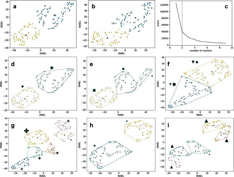  Unsupervised clustering using kernel t-SNE (kt-SNE)