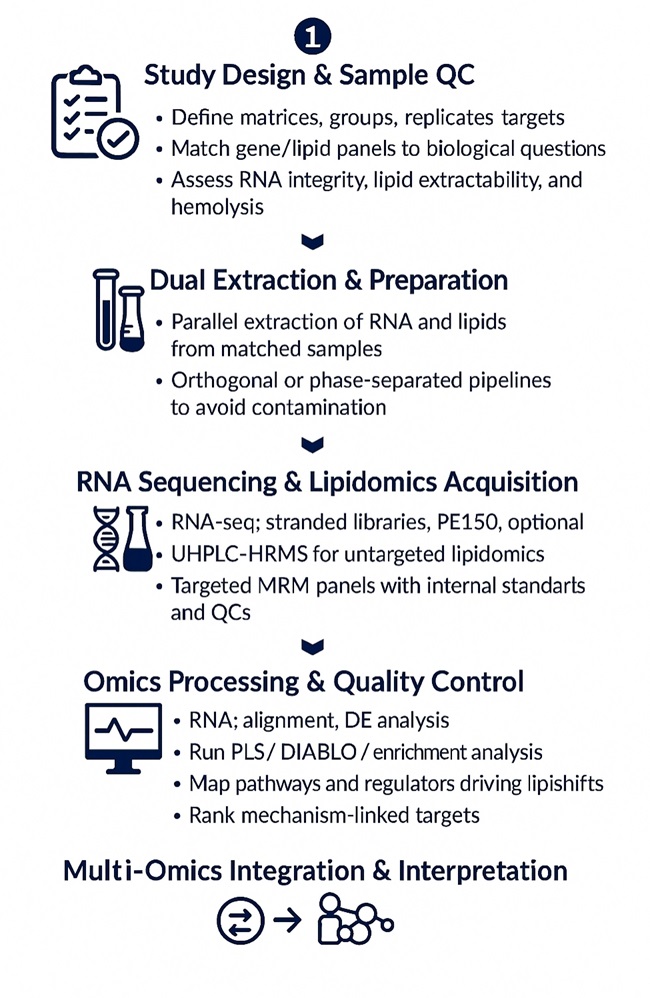 Integrated Transcriptomic and Lipidomics Analysis Workflow