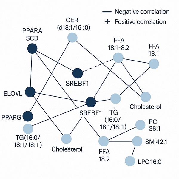 Network showing correlations between genes and lipid molecules.