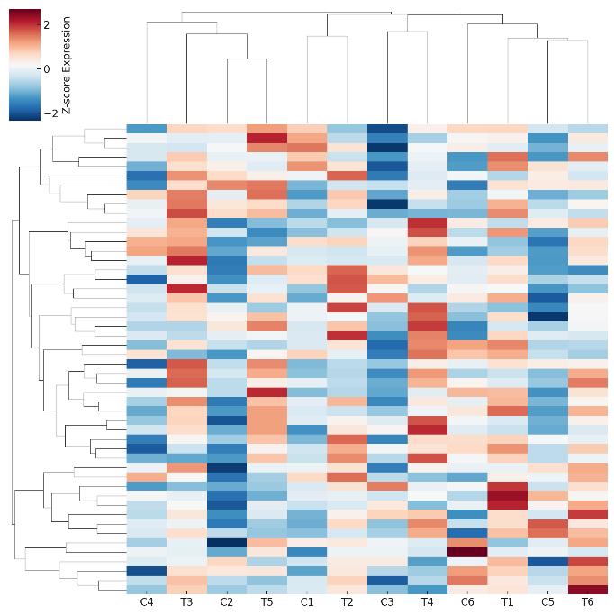 Heatmap of gene expression with clustering, showing clear differences between control and treatment groups.