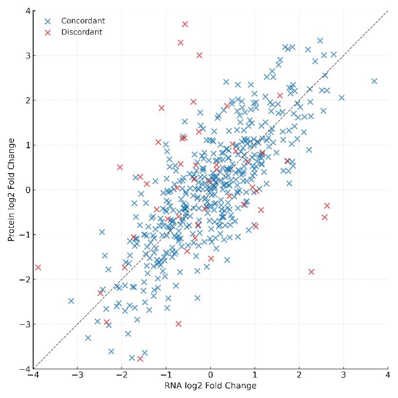Scatter plot showing RNA versus protein fold changes, with concordant genes along the diagonal and discordant genes deviating from it.