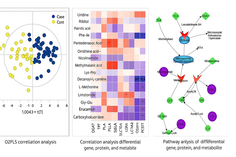 Demo results of Integrated Transcriptomic, Proteomic, and Metabolomic Analysis