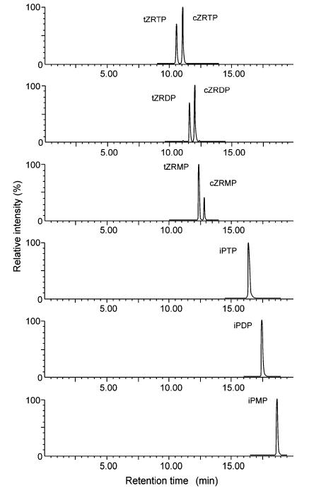 SIM chromatograms showing cytokinin nucleotides under optimal conditions.