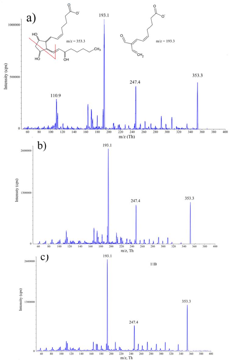 Mass spectra displaying fragment ions for 8-isoP, 8,15-isoP, 11-isoP, 15-isoP, and internal standard, with structures indicating fragmentation pathways.