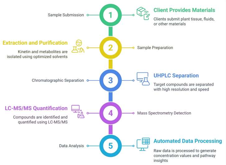 Kinetin Analysis Workflow