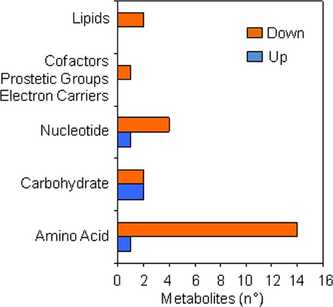 Metabolic super-pathways significantly (P ≤ 0.05 and q ≤ 0.1) changed in response to kinetin treatment at the radicle protrusion stage compared.
