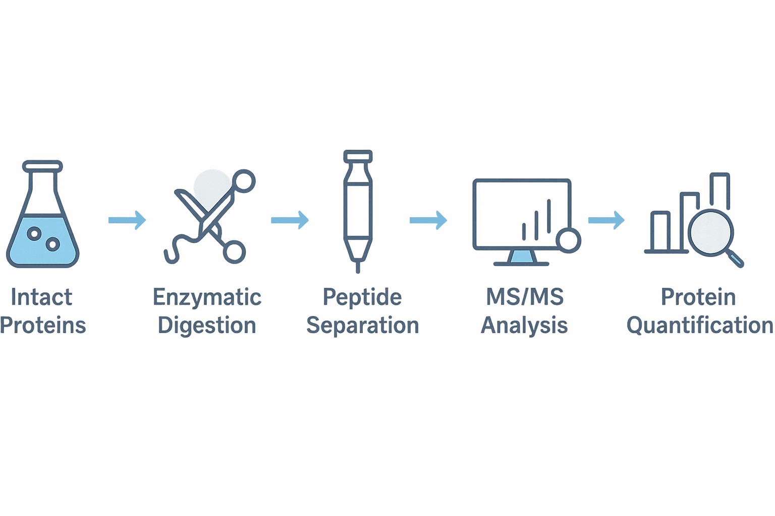 LFQ Workflow