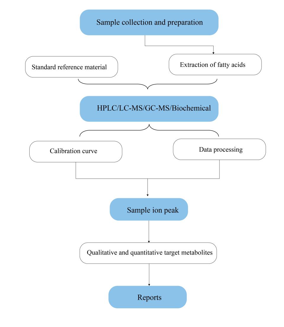 The workflow of exosome untargeted metabolomics.