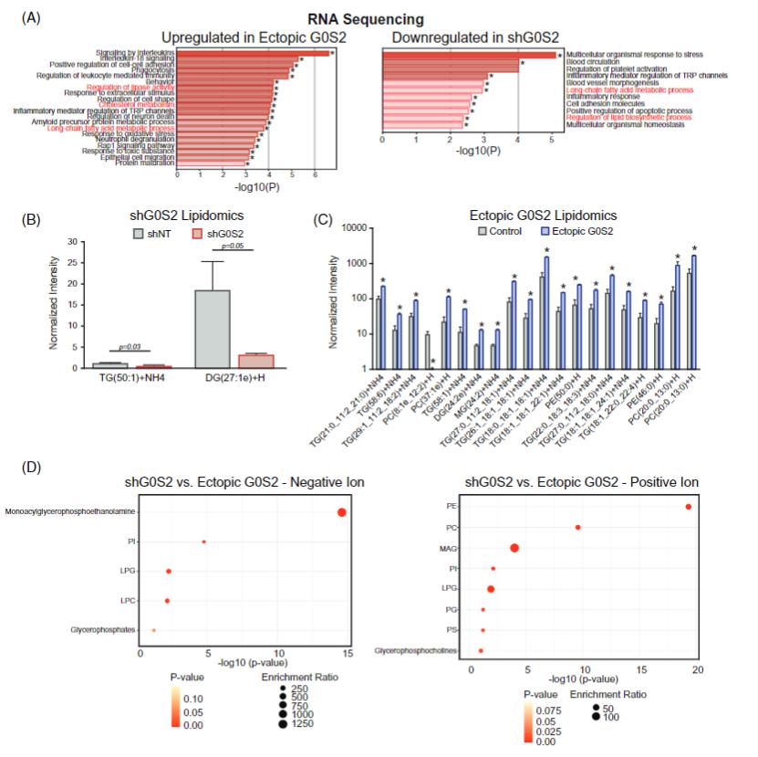 Lipidomics analysis of glycerophospholipid metabolism in CML drug resistance by Creative Proteomics