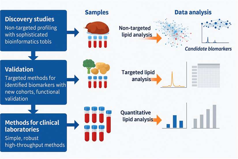 Lipidomics Workflows 