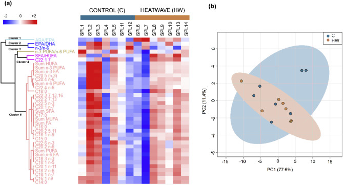 Heatmap of fatty acid profiles