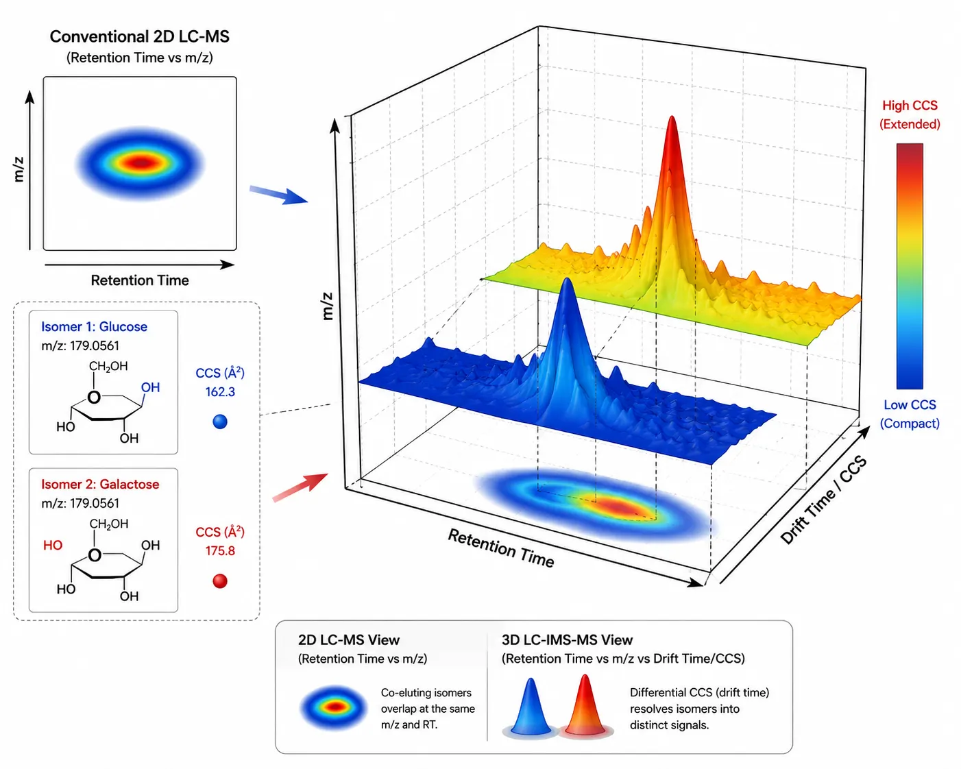 Figure 2: Ion Mobility Separation Adding a CCS-Based Dimension to Untargeted Metabolomics