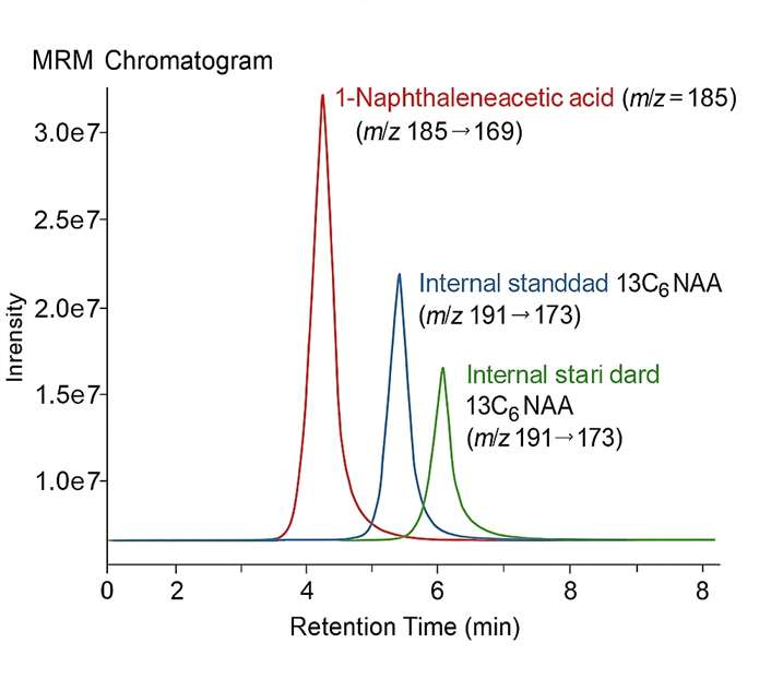 MRM chromatogram of NAA, 1-naphthol, and 13C6-NAA showing retention times and m/z transitions under LC-MS/MS.