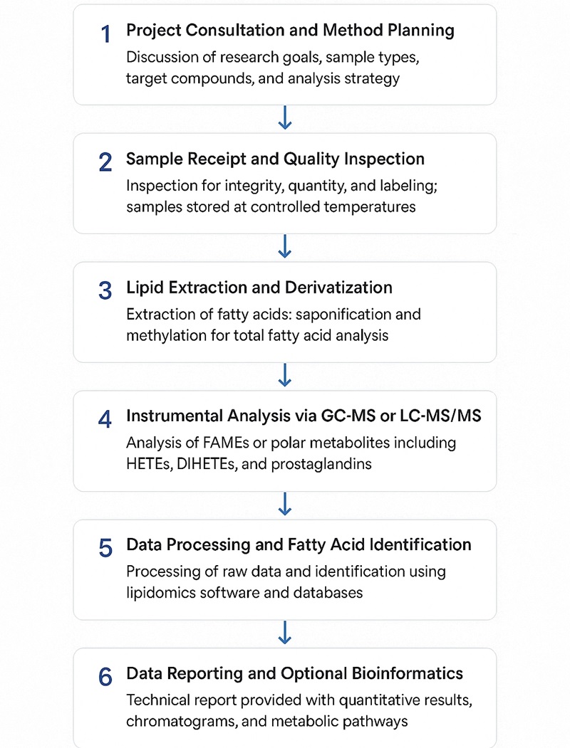 Omega-6 Fatty Acids Analysis Workflow