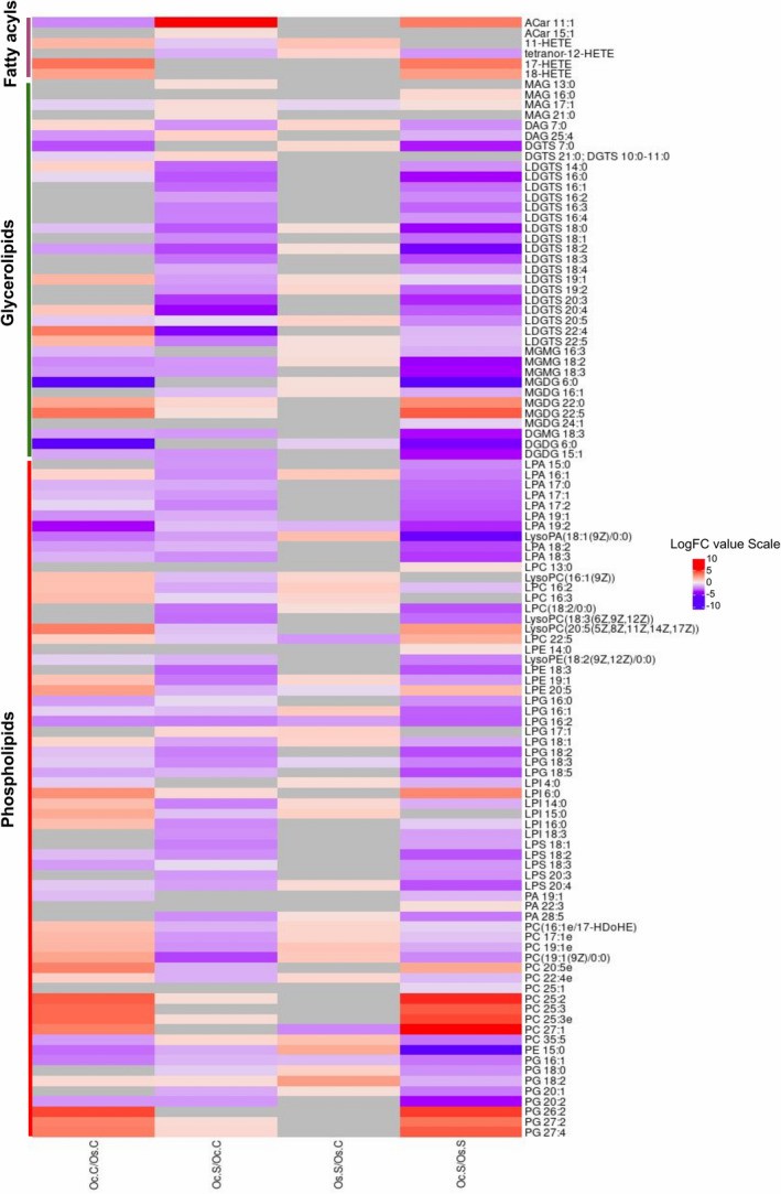 Heatmap showing fold-change differences in lipid metabolites between salt-tolerant Oryza coarctata and salt-sensitive Oryza sativa