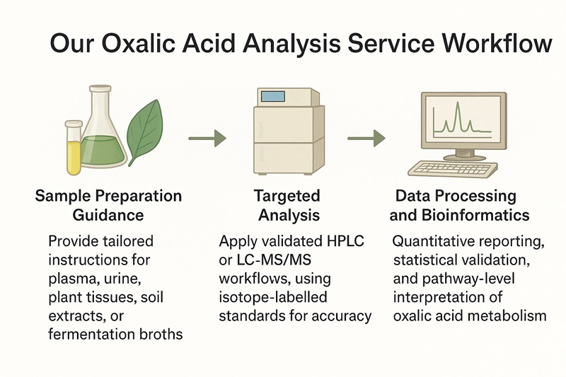 Oxalic Acid Analysis Service Workflow