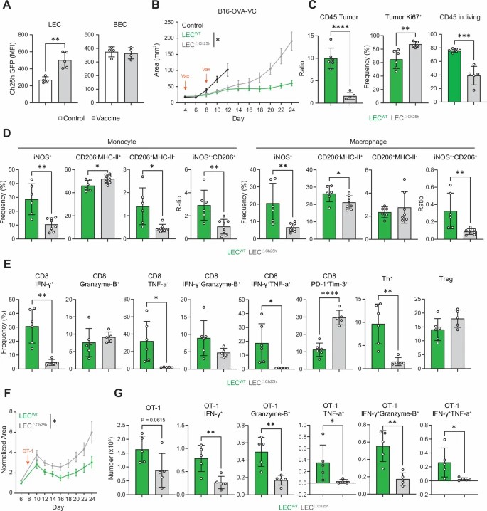 Figure showing oxysterol Ch25h loss in melanoma reduces immunotherapy response by impairing T cell and macrophage function