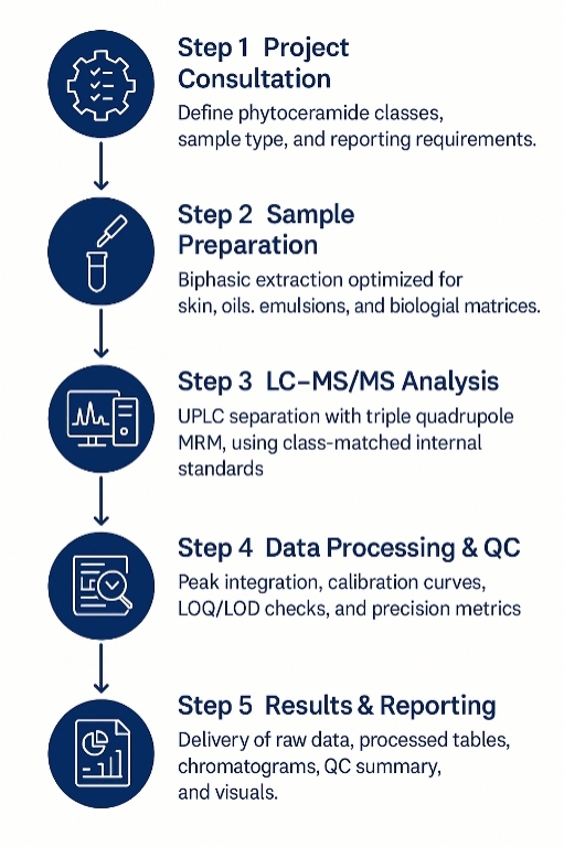 Phytoceramides Analysis Workflow