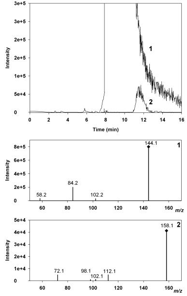 Extracted ion chromatograms of bergamot juice showing peaks at MS/MS transitions 144.1→84.2 and 158.1→72.1 obtained by HPLC–ESI–MS/MS.